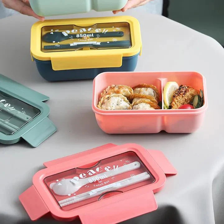 850ml leakproof tiffin box with spoon and chopsticks – KT Nest