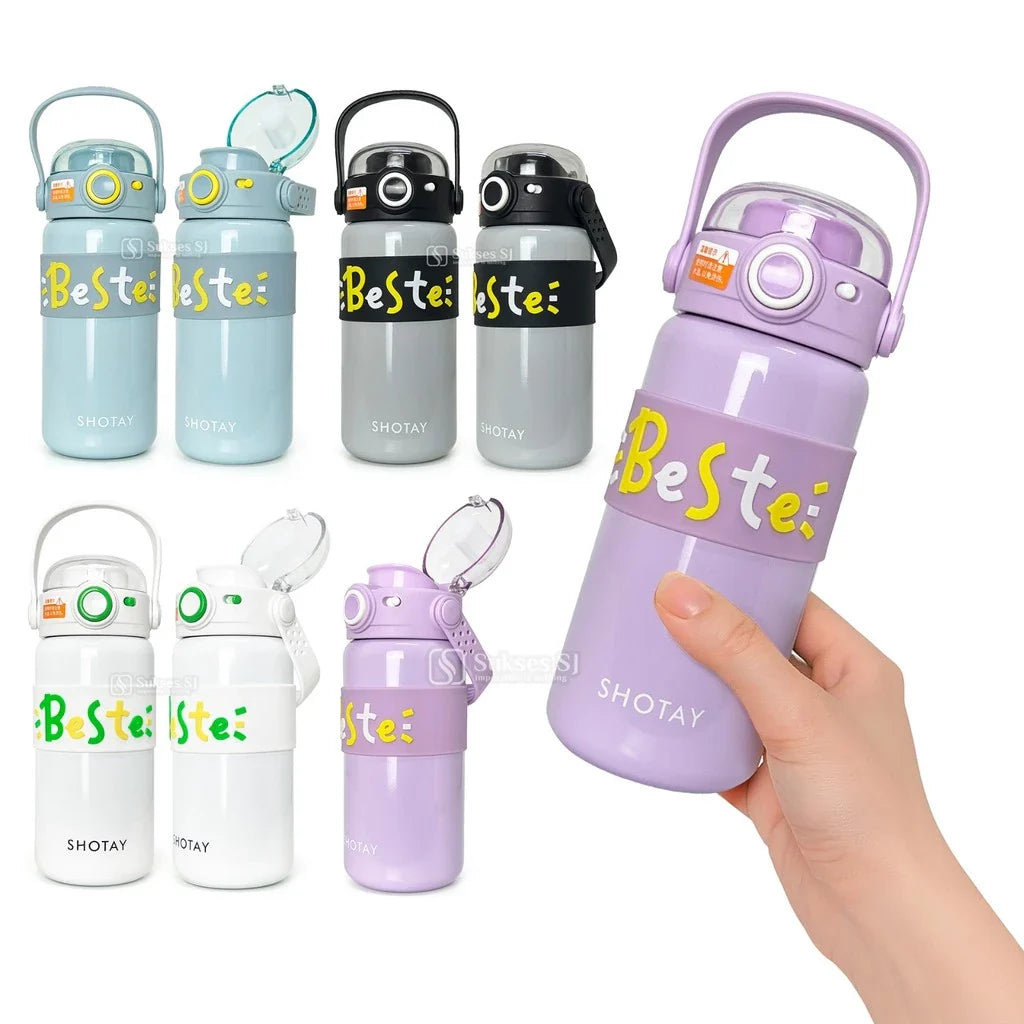 500ml SUS 316 Camera Design Thermal Bottle